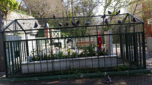 TEVHİD İLMİNİN ÖNEMİNİ MUHAKKAK ANLATMAMIZ GEREKİR. ALLÂH MEKANDAN MÜNEZZEHTİR