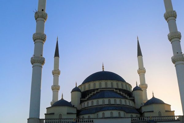 Allâh Her Şeyi Bilendir