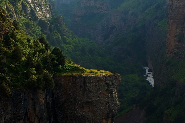 Ridde Nedir? Kaç Kısma Ayrılır?
