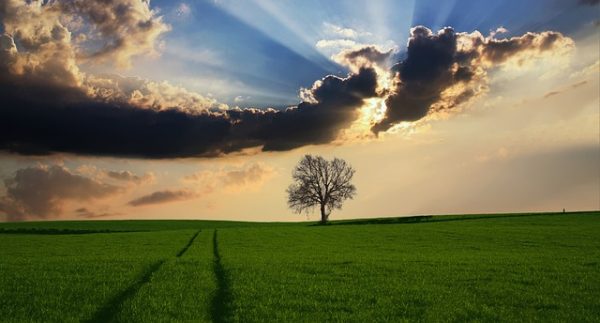 “El-Be’s” Nedir?