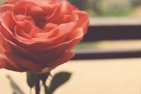 El-Hisâb Nedir?