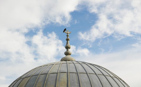 KIZ VE ERKEK ÇOCUKLARININ VELİLERİNE FARZ OLAN ŞEYLER