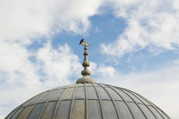 KIZ VE ERKEK ÇOCUKLARININ VELİLERİNE FARZ OLAN ŞEYLER
