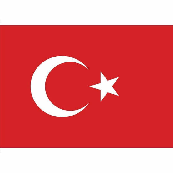 …şehit olan kahraman Mehmetçiklerimize Allah’tan rahmet diliyorum.