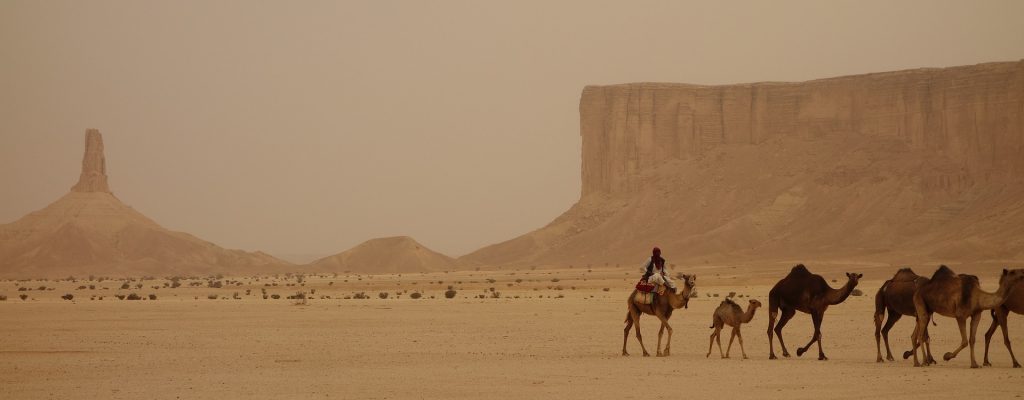 camel-train-3408458_1920